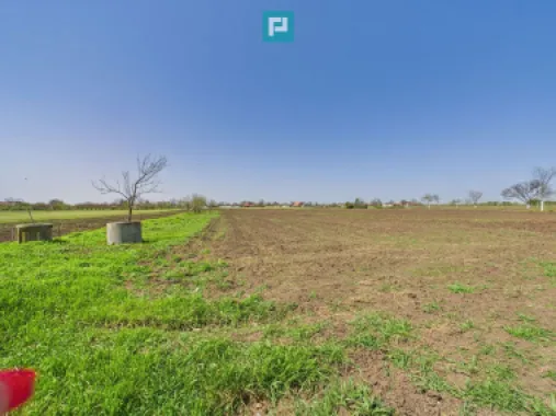 Casă cu grădină mare la 30 km de Timișoara