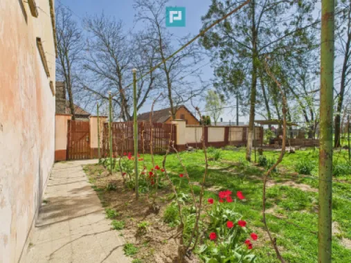 Casă cu grădină mare la 30 km de Timișoara