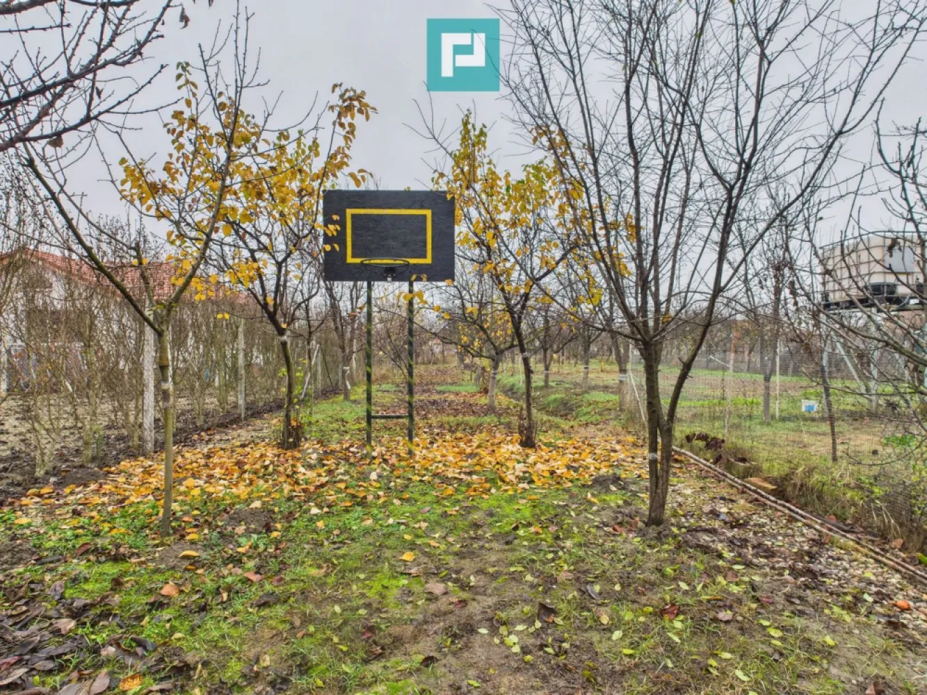 Două case pe un teren generos în Ghiroda