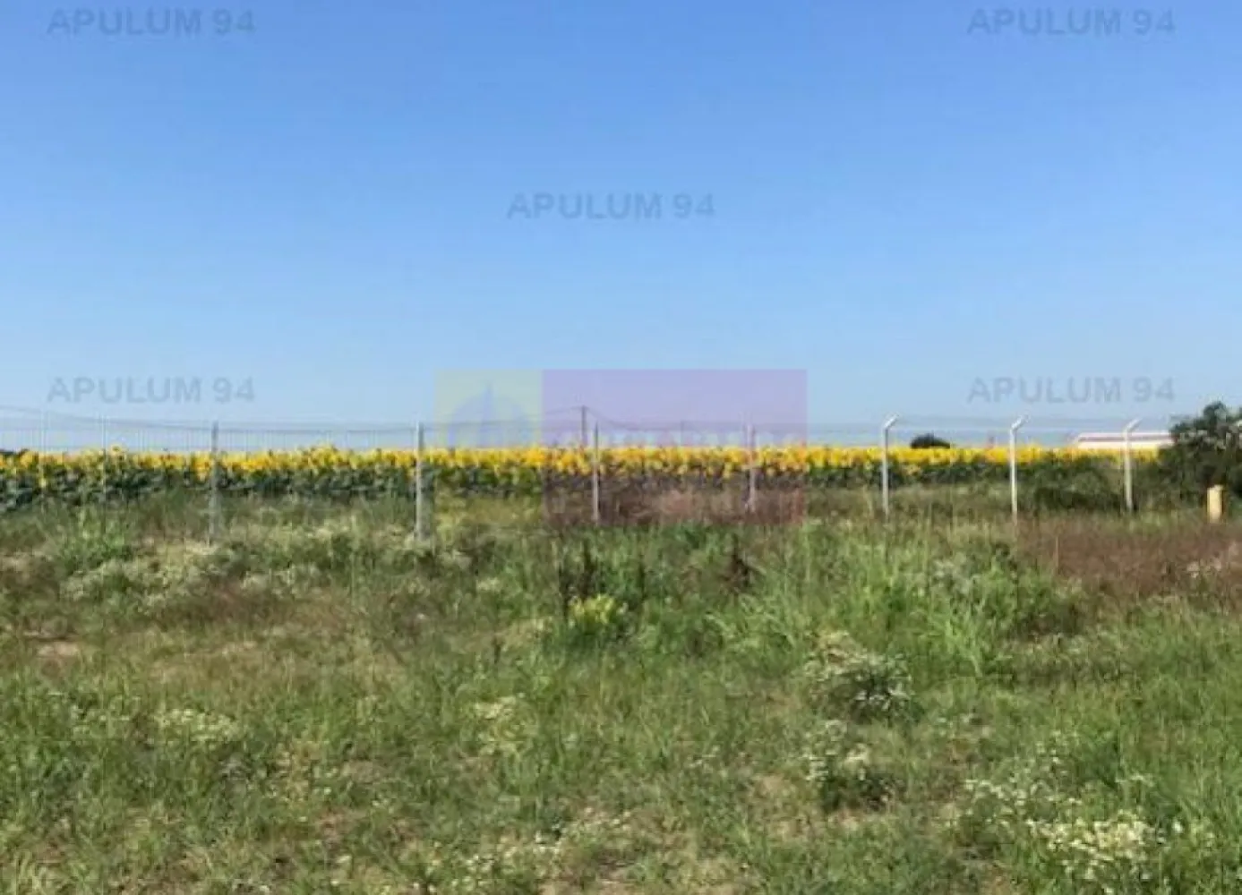 Teren Domnesti- Depozit Emag. - Compania imobiliara Apulum94 va propune un teren situat in zona Domnesti, in apropiere de depozitul Emag si Agricover.
 Terenul este intravilan agricol, are 2 deschideri la doua strazi paralele.
 Este pretabil pentru depozit, hala, fiind situat in zona industriala. 
Pentru vizionare si alte detalii nu ezitati sa ma contactati pe nr 0733683446- Laura Ionescu. 
COMISIONUL AGENTIEI ESTE 3%+ TVA.