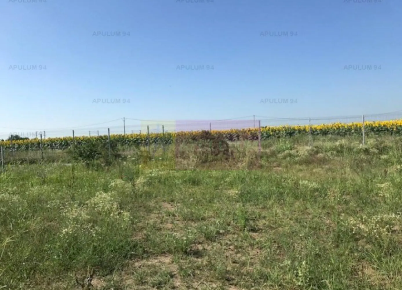 Teren Domnesti- Depozit Emag. - Compania imobiliara Apulum94 va propune un teren situat in zona Domnesti, in apropiere de depozitul Emag si Agricover.
 Terenul este intravilan agricol, are 2 deschideri la doua strazi paralele.
 Este pretabil pentru depozit, hala, fiind situat in zona industriala. 
Pentru vizionare si alte detalii nu ezitati sa ma contactati pe nr 0733683446- Laura Ionescu. 
COMISIONUL AGENTIEI ESTE 3%+ TVA.