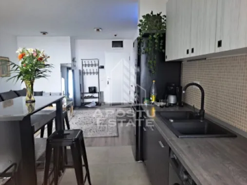 Apartament 2 camere, la ISHO, Take Ionescu, Timisoara