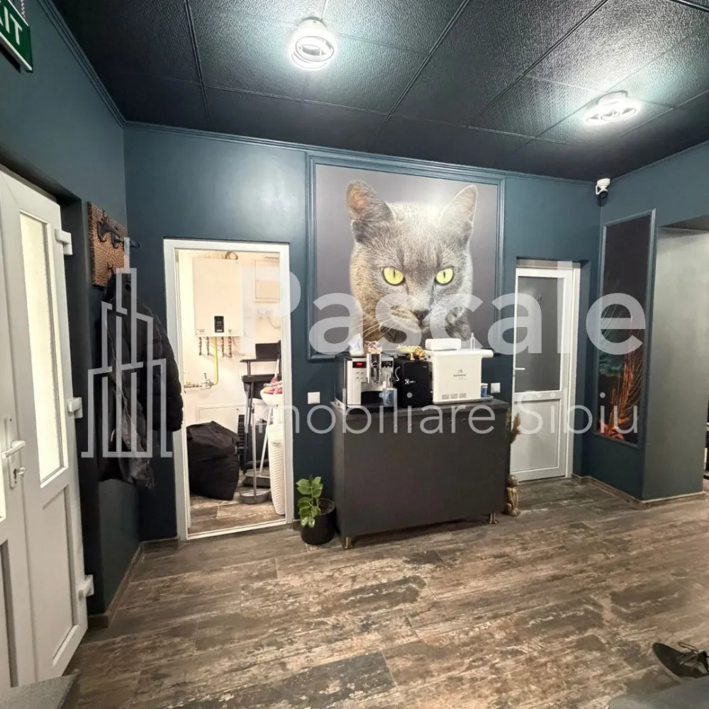 Spațiu comercial de vânzare – 110 mp | Zonă cu vad | Ideal afacere ✨