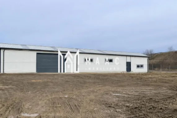 Logo MAAC IMOBILIARE logo