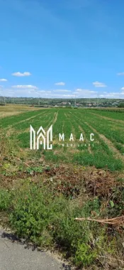 Logo MAAC IMOBILIARE logo