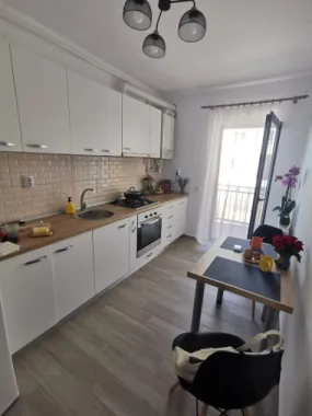 Garsoniera Pictor Brana Selimbar