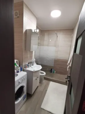 Garsoniera Pictor Brana Selimbar