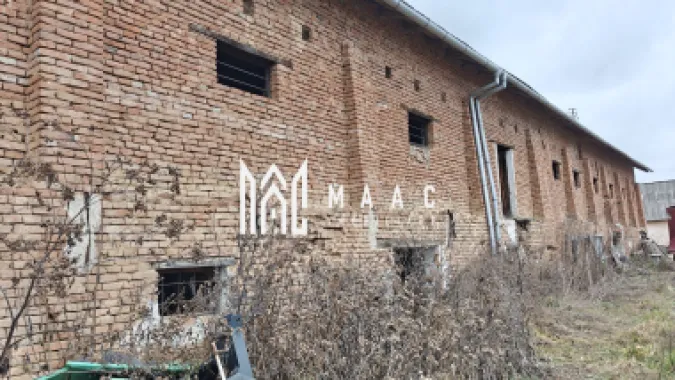 Teren intravilan I 5400 mp I Hale I Acces utilaje I Chirpăr