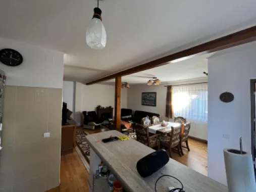 Casa de vacanta Tocile /Sadu