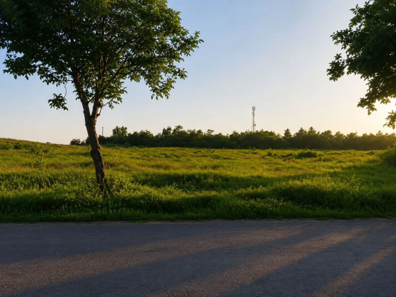Vânzare teren intravilan – 9.500 mp, DN26 -Padurea Garboavele, Tulucesti - Mag Invest va propune spre vanzare un teren intravilan cu suprafata de 9.500 mp, amplasat excelent in localitatea Vanatori, judetul Galati, la intersectia DN26 cu drumul spre Garboavele, in imediata apropiere a Hotelului Nef. Proprietatea se afla la aproximativ 10 minute de municipiul Galati si beneficiaza de vizibilitate foarte buna si acces direct din drumul national.

Terenul este ideal pentru investitii, dezvoltari comerciale, industriale, logistice sau de servicii, fiind situat intr-o zona aflata in continua dezvoltare.

Caracteristici:
suprafata teren: 9.500 mp
deschidere la DN26: aproximativ 75 ml
teren intravilan
acces direct din sosea
teren liber de constructii
posibilitate de parcelare
utilitati in zona: energie electrica si gaze naturale
amplasare excelenta, cu trafic intens si vizibilitate ridicata

Pret: 114.000 euro (12 euro/mp)
Comision cumparator: 2% + TVA

Pentru informatii suplimentare si programarea unei vizionari:
Marian Ene
Mag Invest
0740.949.871
0762.898.887

Investitia potrivita pentru dezvoltarea afacerii dumneavoastra, intr-una dintre cele mai dinamice zone din apropierea municipiului Galati.