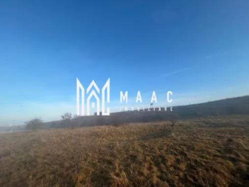 Teren cu potențial turistic I Valea Avrigului I 2900 MP