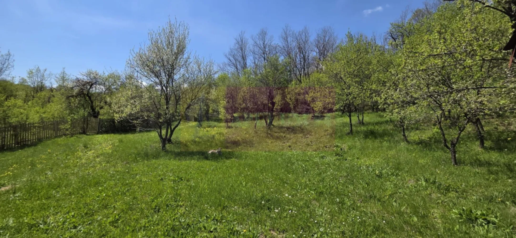 Teren cu Casuta de lemn in Sotrile (langă Valea Doftanei) - Teren intravilan de vânzare – Șotrile | Natură, liniște și priveliște superbă ??

Agenția imobiliară Mervani Imobiliare vă propune spre vânzare un teren intravilan cu o suprafață de 1.484 mp, situat în comuna Șotrile, în apropierea drumului ce duce spre Valea Doftanei – o zonă apreciată pentru peisajele sale spectaculoase și aerul curat.

Detalii proprietate:
 Teren ușor înclinat, cu priveliște deosebită
Intimitate ridicată – ideal pentru relaxare în natură
Împrejmuit cu gard din lemn
Acces: drum asfaltat + aprox. 200 m drum de pământ (acces auto mai dificil)

Construcții existente:
Căsuță din lemn, amplasată pe piloni din beton
Dotări: paturi, frigider, aerotermă electrică
Magazie pentru unelte de grădină
WC în curte

Utilități:
Apă potabilă – branșament la rețea
Energie electrică – branșament funcțional

Proprietatea este utilizată ca reședință de vacanță pentru weekend, fiind locul perfect pentru cei care caută liniște, natură și evadare din agitația orașului.

Pentru mai multe detalii sau vizionare: 0729 935 536