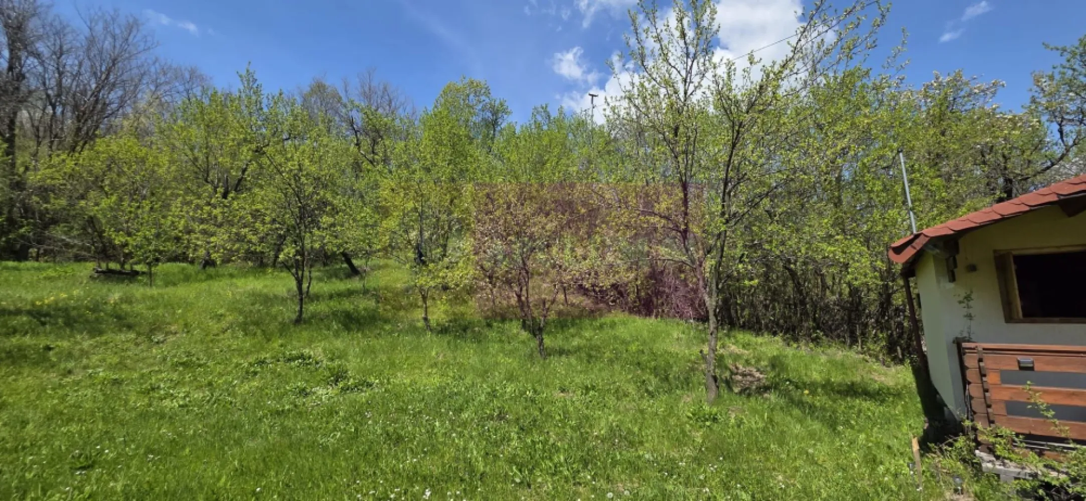 Teren cu Casuta de lemn in Sotrile (langă Valea Doftanei) - Teren intravilan de vânzare – Șotrile | Natură, liniște și priveliște superbă ??

Agenția imobiliară Mervani Imobiliare vă propune spre vânzare un teren intravilan cu o suprafață de 1.484 mp, situat în comuna Șotrile, în apropierea drumului ce duce spre Valea Doftanei – o zonă apreciată pentru peisajele sale spectaculoase și aerul curat.

Detalii proprietate:
 Teren ușor înclinat, cu priveliște deosebită
Intimitate ridicată – ideal pentru relaxare în natură
Împrejmuit cu gard din lemn
Acces: drum asfaltat + aprox. 200 m drum de pământ (acces auto mai dificil)

Construcții existente:
Căsuță din lemn, amplasată pe piloni din beton
Dotări: paturi, frigider, aerotermă electrică
Magazie pentru unelte de grădină
WC în curte

Utilități:
Apă potabilă – branșament la rețea
Energie electrică – branșament funcțional

Proprietatea este utilizată ca reședință de vacanță pentru weekend, fiind locul perfect pentru cei care caută liniște, natură și evadare din agitația orașului.

Pentru mai multe detalii sau vizionare: 0729 935 536