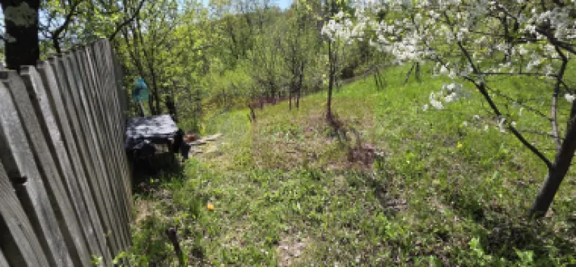 Teren cu Casuta de lemn in Sotrile (langă Valea Doftanei)