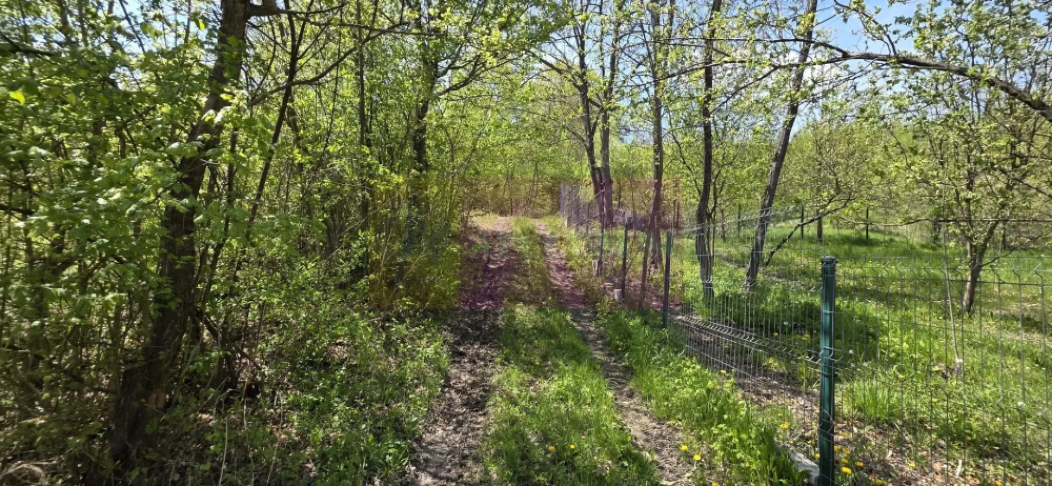 Teren cu Casuta de lemn in Sotrile (langă Valea Doftanei)