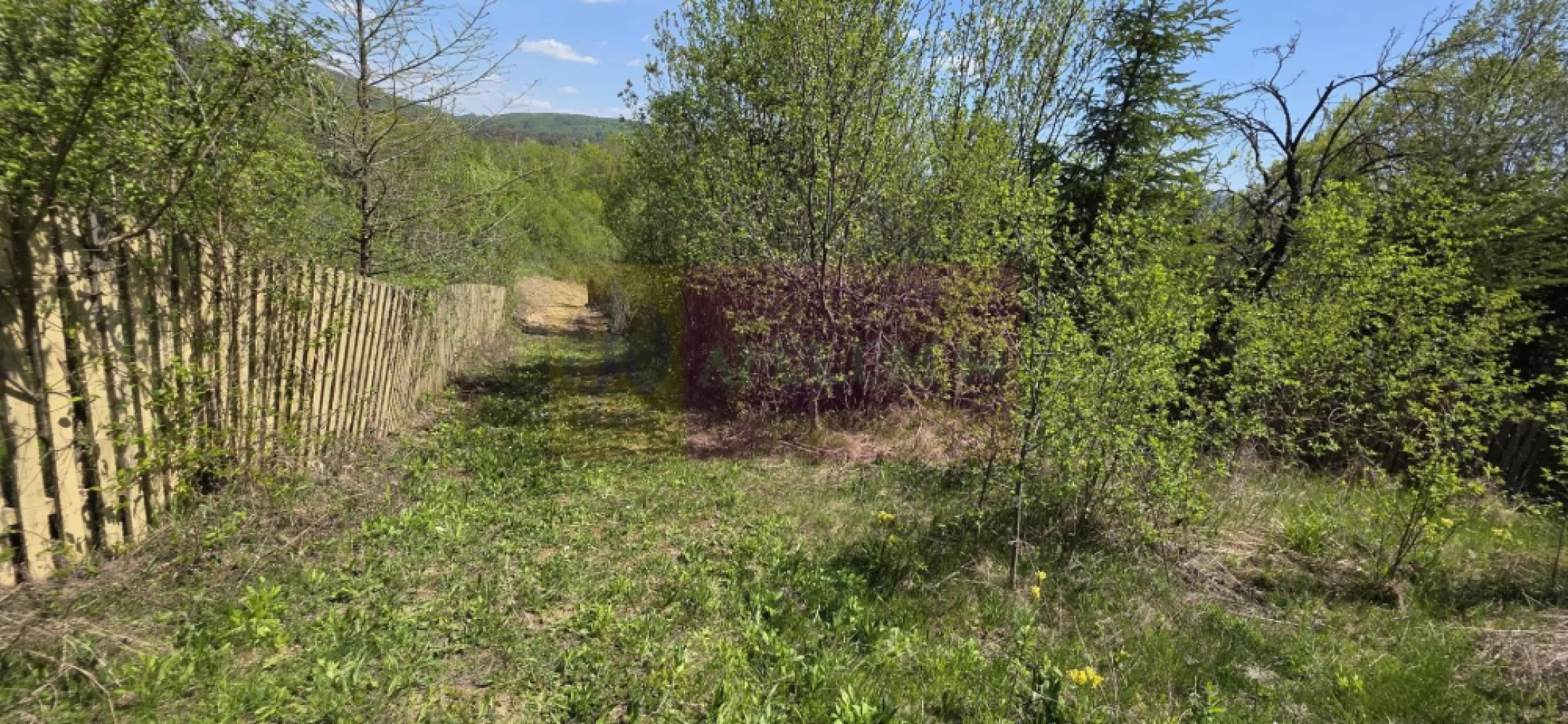 Teren cu Casuta de lemn in Sotrile (langă Valea Doftanei)