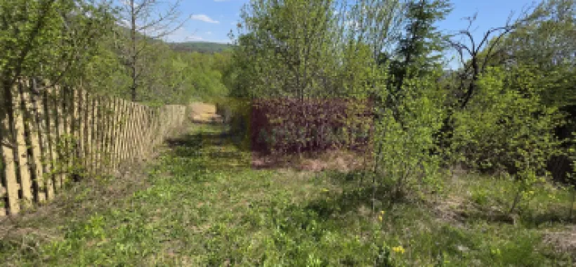 Teren cu Casuta de lemn in Sotrile (langă Valea Doftanei)