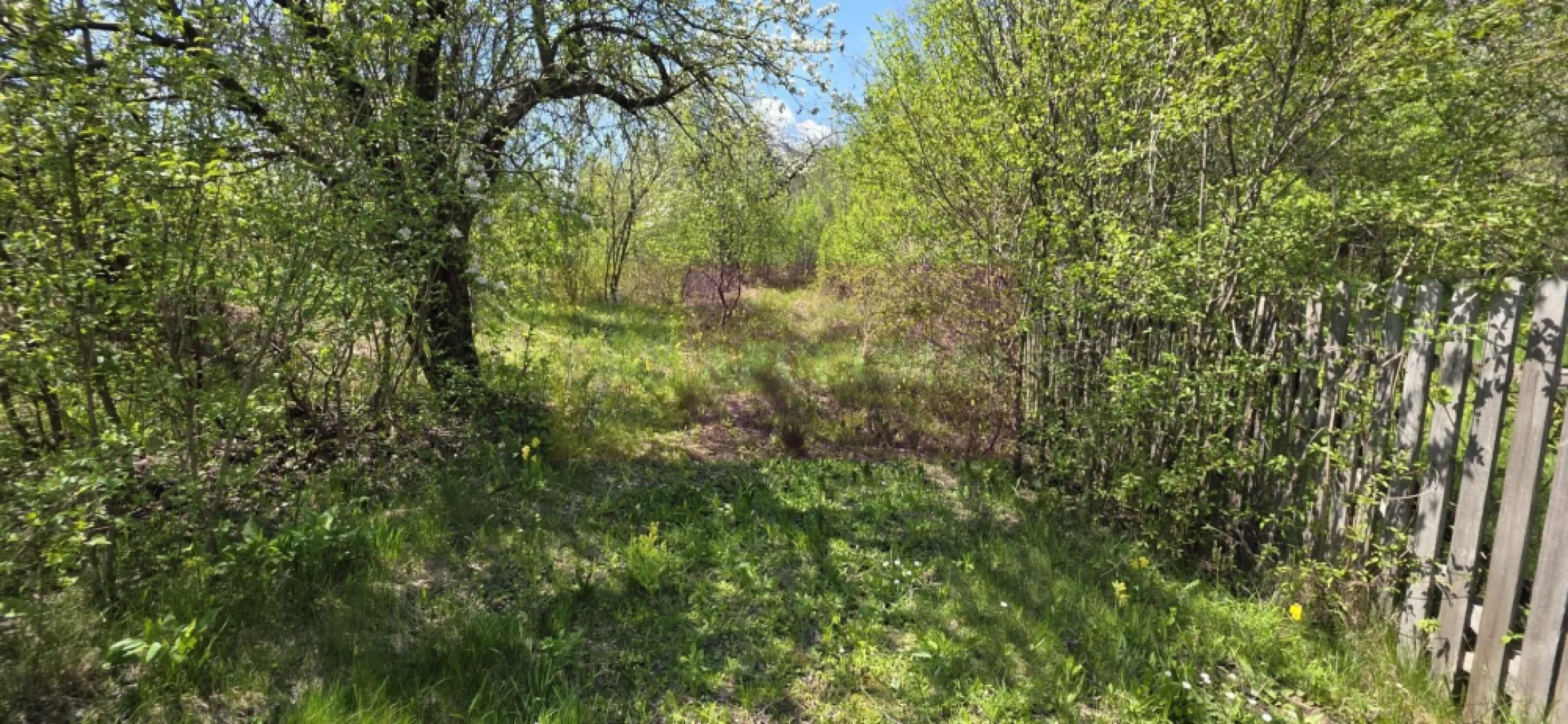 Teren cu Casuta de lemn in Sotrile (langă Valea Doftanei)