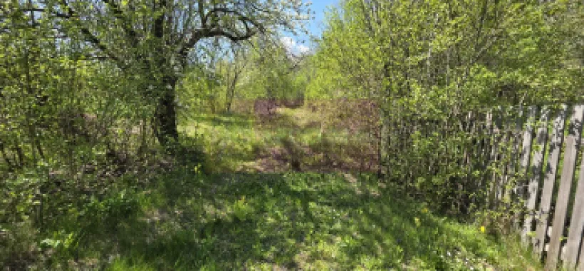 Teren cu Casuta de lemn in Sotrile (langă Valea Doftanei)