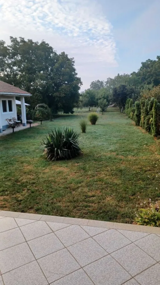 BRASADAS vinde casa in zona Careiului.