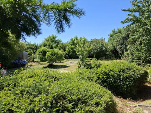 BRASADAS vinde casa P+M 6 cam 227mp teren 11 ari in 14 Mai.