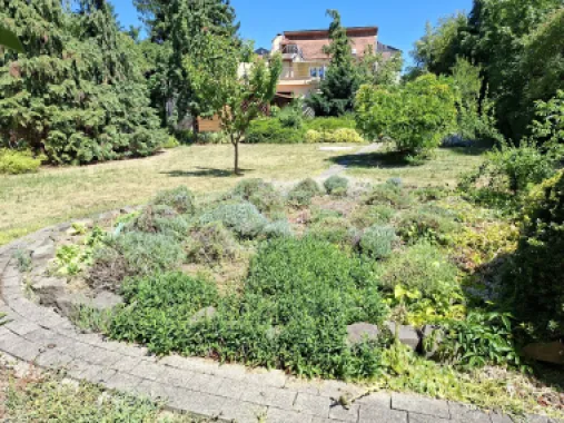 BRASADAS vinde casa P+M 6 cam 227mp teren 11 ari in 14 Mai.