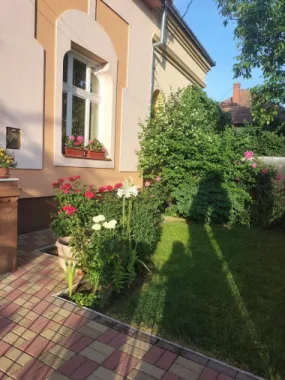 BRASADAS vinde vinde casa individuala zona TITULESCU