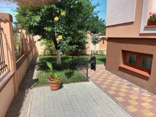 BRASADAS vinde vinde casa individuala zona TITULESCU