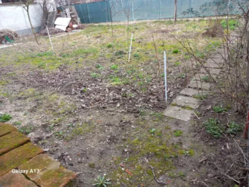 BRASADAS vinde casa 2 cam cu etaj 6 ari zona Bercu Rosu.