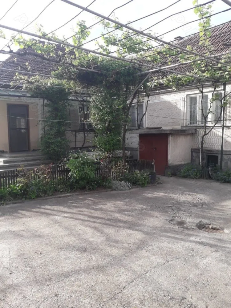 BRASADAS vinde casă in zona Barițiu. - Agentia Imobiliara BRASADAS vinde casă in Satu Mare, zona Barițiu, la 10 minute de centru, pe o stradă liniștită, aproape de piața de vechituri. Front stradal 18 ml. Casa are 4 camere, living, bucătărie, baie. In curte este un garaj dublu, o bucătărie de vară cu o cameră și o baie. Curtea este betonată, boltă de viță de vie peste toată curtea. Casa are in spate teren cu viță de vie, pomi fructiferi. Terenul total este de 33,3 ari. www.brasadas.com. }}