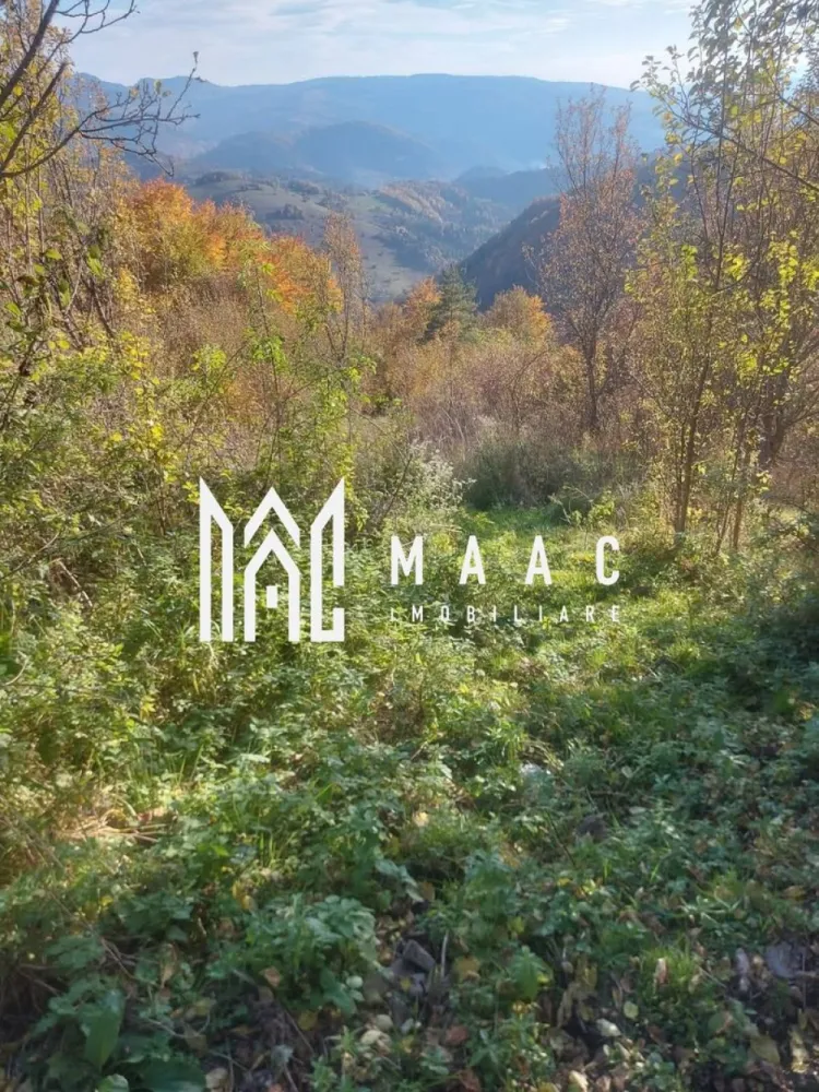 Super ofertă 35000 teren in Muntii Apuseni - MAAC Imobiliare va oferă teren in Muntii Apuseni: - Suprafața: 35.000 metri pătrați este o dimensiune considerabilă, oferind multiple opțiuni pentru utilizare, cum ar fi agricultură, dezvoltare turistică sau construcții rezidențiale. - Pescărie. - Livada de pruni: Aceasta este un avantaj, deoarece poate oferi un venit din vânzarea fructelor. Prunii sunt, de asemenea, relativ ușor de întreținut și pot contribui la frumusețea peisajului. - Fâneață: Spațiul pentru fâneață poate fi utilizat pentru pășunatul animalelor sau pentru producția de fân, ceea ce este benefic în special pentru proprietarii de animale. - Pădure de foioase: Pădurile oferă nu doar lemn pentru construcții sau încălzire, dar și un habitat natural, plus oportunități pentru activități recreative, cum ar fi drumeții sau observarea faunei. - Casa cu două camere și pivniță: O casă deja construită poate fi un avantaj, oferind un loc de locuit imediat sau un punct de plecare pentru renovări. Pivnița poate fi utilă pentru depozitare, în special pentru alimente. - Grajd: Acesta poate fi folosit pentru a adăposti animale sau pentru stocarea echipamentelor agricole. - Drum de acces: Accesibilitatea este crucială, mai ales în zonele rurale. Drumurile bine întreținute facilitează transportul și conectivitatea. - Sursa de curent: Apropierea de o sursă de curent electric este un mare avantaj, având în vedere că multe proprietăți din zonele rurale nu dispun de această facilități. - Izvor: Un izvor care alimentează casa cu apă prin gravitație este un aspect foarte valoros, asigurând o sursă de apă potabilă fără costuri suplimentare pentru pompare. Această proprietate poate reprezenta o oportunitate excelentă, mai ales pentru cei care caută un loc liniștit, dar bine echipat în mijlocul naturii. Pentru mai multe detalii precizati telefonic ca ati vazut anuntul cu ID CP2932331 }}