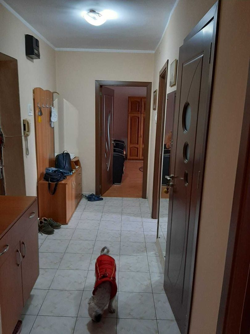 BRASADAS închiriază ap 2 cam Et 6/8 zona Unirii