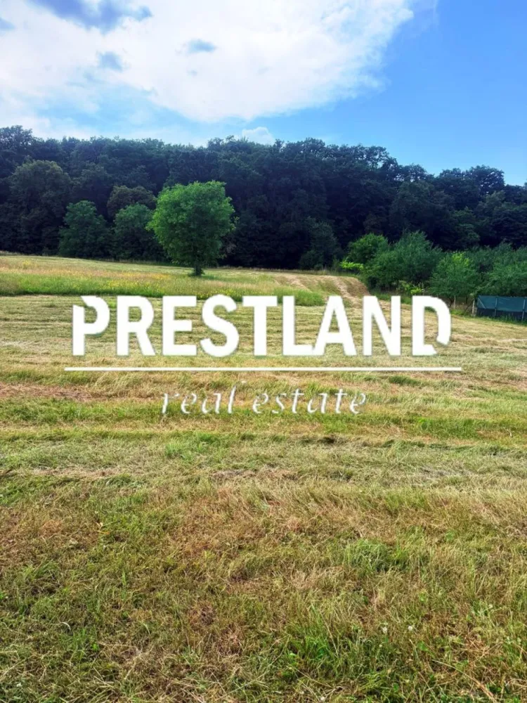 Teren extravilan pretabil constructi case de vacanță !! - Teren extraviilan zona Sura Mare-5.000 mp, cu deschidere de aproximativ 75 ml intre case cu utilități in apropiere terenul este intr-e case !!

Agenția nu deține informațiile privind performanta energetica a imobilului, aceasta informând asupra necesitații si legalității certificatului energetic. Comunicarea datelor cuprinse in Certificatul Energetic al imobilului rămâne in sarcina proprietarului.
Oferim clienților următoarele servicii:
- consultanta obținere credite bancare;
- servicii notariat;
- servicii de topografie(schiță, releveu);
- certificate energetice imobile;
- asigurări;
- servicii de evalure;
- consultanta juridica;