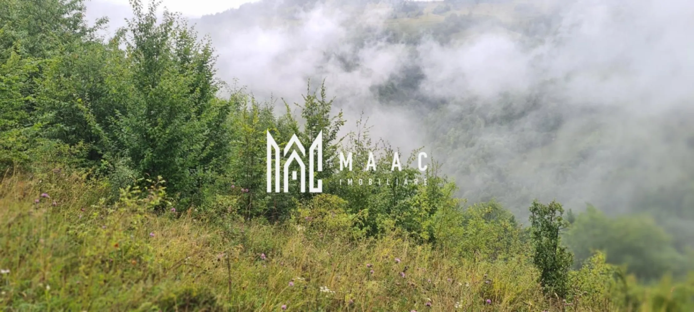 Super ofertă 35000 teren in Muntii Apuseni