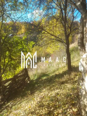 Super ofertă 35000 teren in Muntii Apuseni