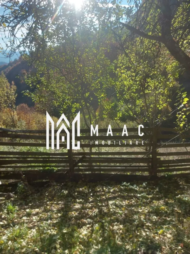 Super ofertă 35000 teren in Muntii Apuseni