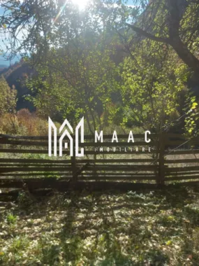 Super ofertă 35000 teren in Muntii Apuseni