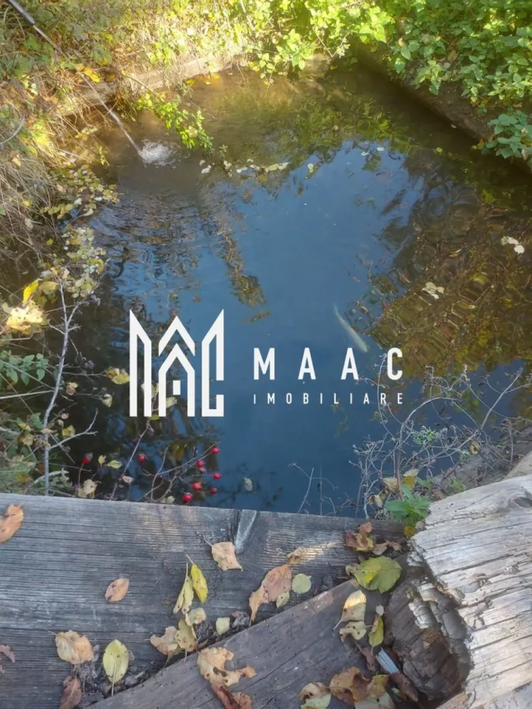 Super ofertă 35000 teren in Muntii Apuseni