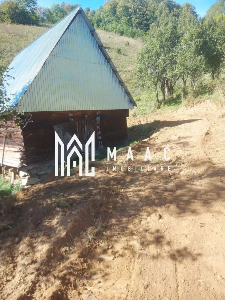 Super ofertă 35000 teren in Muntii Apuseni