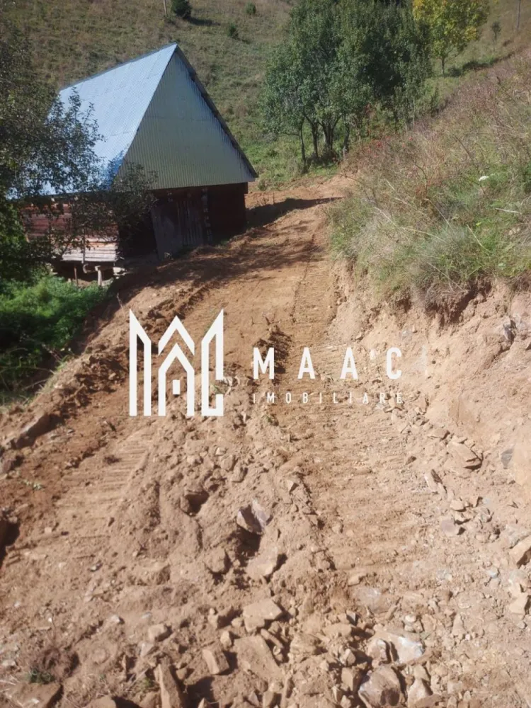 Super ofertă 35000 teren in Muntii Apuseni