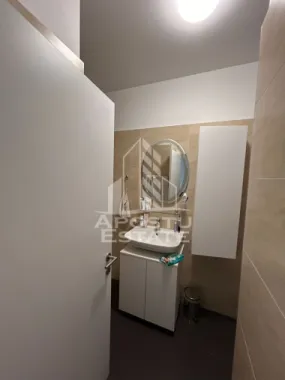 Apartament cu 2 camere open space Torontalului,Timisoara