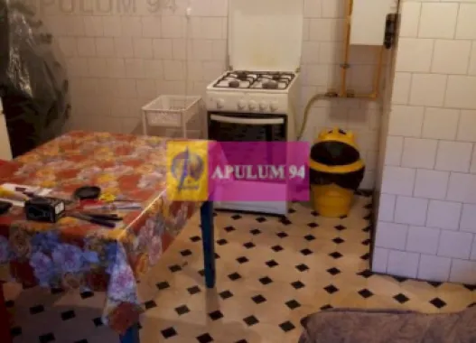 Apartament Elegant in Vilă zona Gradina Botanica-Splaiul Independenței
