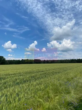 9,4 ha teren lângă DEx12 Pitești | 2,85 €/mp | loturi sau pachet