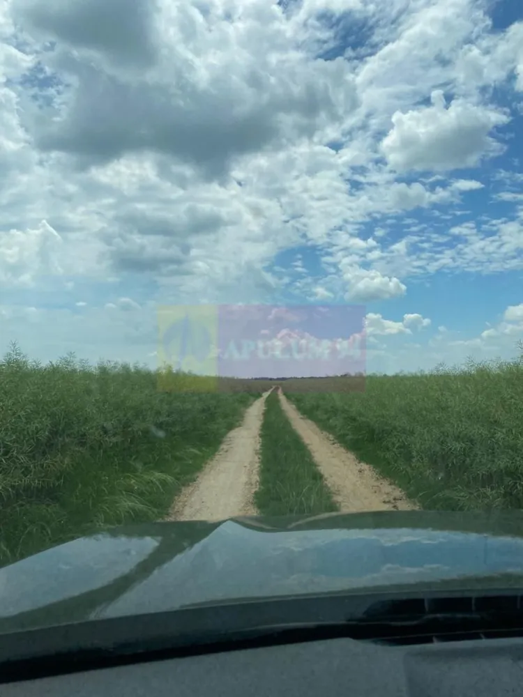 9,4 ha teren lângă DEx12 Pitești | 2,85 €/mp | loturi sau pachet