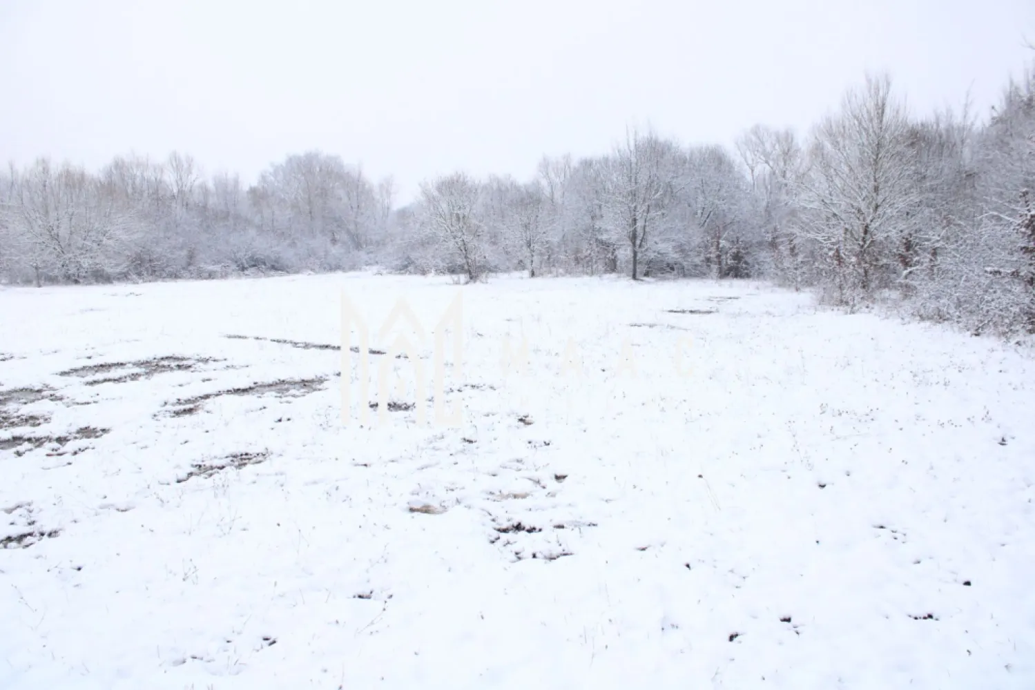 Super oferta I teren intravilan de vanzare in Cisnadie - MAAC Imobiliare vă propune spre vânzare un teren intravilan cu suprafața de 1.466 mp, situat pe Strada Selimbarului in Cisnadie, în apropiere de Sibiu, într-o zonă în continuă dezvoltare, apreciată pentru peisajul natural, liniște și accesibilitate. Acest teren se află într-o zonă ideală pentru investiții, fie că este vorba despre dezvoltări rezidențiale, construcții individuale sau proiecte comerciale pe termen mediu și lung. Locația oferă acces rapid către Sibiu, dar și către localitățile din jur, fiind o alegere excelentă pentru cei care își doresc să fie aproape de oraș, dar departe de agitația urbană. Suprafață: 1.466 mp Categoria: Intravilan Utilități: disponibile în imediata apropiere (electricitate, apă, gaz, canalizare) Pentru mai multe detalii, vă rugăm să ne contactați, menționând ID: CP2935680 }}