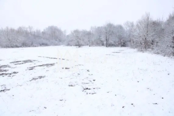 Super oferta I teren intravilan de vanzare in Cisnadie