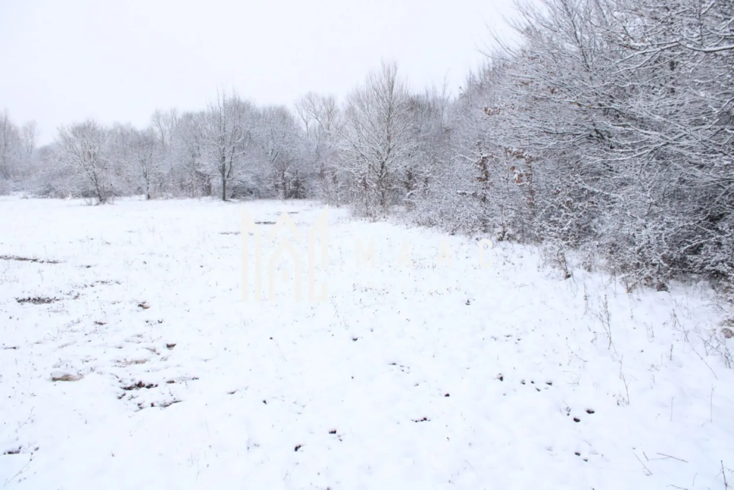 Super oferta I teren intravilan de vanzare in Cisnadie - MAAC Imobiliare vă propune spre vânzare un teren intravilan cu suprafața de 1.466 mp, situat pe Strada Selimbarului in Cisnadie, în apropiere de Sibiu, într-o zonă în continuă dezvoltare, apreciată pentru peisajul natural, liniște și accesibilitate. Acest teren se află într-o zonă ideală pentru investiții, fie că este vorba despre dezvoltări rezidențiale, construcții individuale sau proiecte comerciale pe termen mediu și lung. Locația oferă acces rapid către Sibiu, dar și către localitățile din jur, fiind o alegere excelentă pentru cei care își doresc să fie aproape de oraș, dar departe de agitația urbană. Suprafață: 1.466 mp Categoria: Intravilan Utilități: disponibile în imediata apropiere (electricitate, apă, gaz, canalizare) Pentru mai multe detalii, vă rugăm să ne contactați, menționând ID: CP2935680 }}