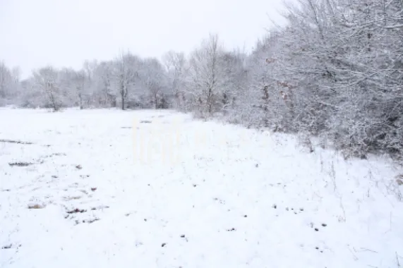 Super oferta I teren intravilan de vanzare in Cisnadie