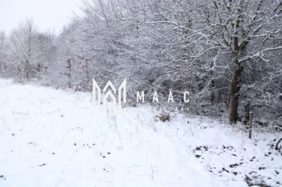 Super oferta I teren intravilan de vanzare in Cisnadie