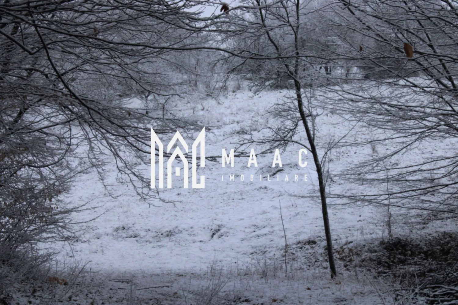 Teren cu izvor de apă minerală Dangești, Punctul Valea Mare - Teren cu Izvor de Apă Minerală in Dangesti, Judetul Valcea * Suprafață: 20.000 de metri pătrați * Locație: Sub masivul Cozia, într-o zonă bio din România * Caracteristici: + Izvor de apă minerală naturală + Pârâul Valea Mare limiteaza proprietatea la sud + Proprietatea este traversata la sud de drumul care iurca la Virful Cozia si la est de drumul care merge spre Calimanesti, statiunea se afla la 12 kilometri de proprietate si Perisani aflat la 7 kilometri, coborand apoi la Cornet unde se poate urca pe viitoarea autostrada. + Fără poluare + Zonă bio, cu o serie de specii protejate de plante și animale + Peisaj natural pitoresc, cu vedere către masivul Cozia * Utilizări posibile: + Turism ecologic + Agricultură bio + Păstrarea și protejarea mediului natural + Dezvoltarea de proiecte imobiliare ecologice * Preț: 45 Euro metrul patrat * Condiții de vânzare: plata integral Beneficii: * Oportunitate de a deține un teren cu izvor de apă minerală naturală, într-o zonă bio protejată * Potențial pentru dezvoltarea de proiecte imobiliare ecologice, cum ar fi hoteluri, cabane, spa, etc. * Șansa de a contribui la protejarea și conservarea mediului natural * Posibilitatea de a utiliza terenul pentru agricultură bio, turism ecologic, etc. Informații suplimentare: * Terenul este situat într-o zonă cu potențial turistic ridicat, aproape de masivul Cozia * Zona este protejată de legi și regulamente care asigură conservarea mediului natural Pentru mai multe detalii precizati telefonic ca ati vazut anuntul cu ID: CP2863408 }}